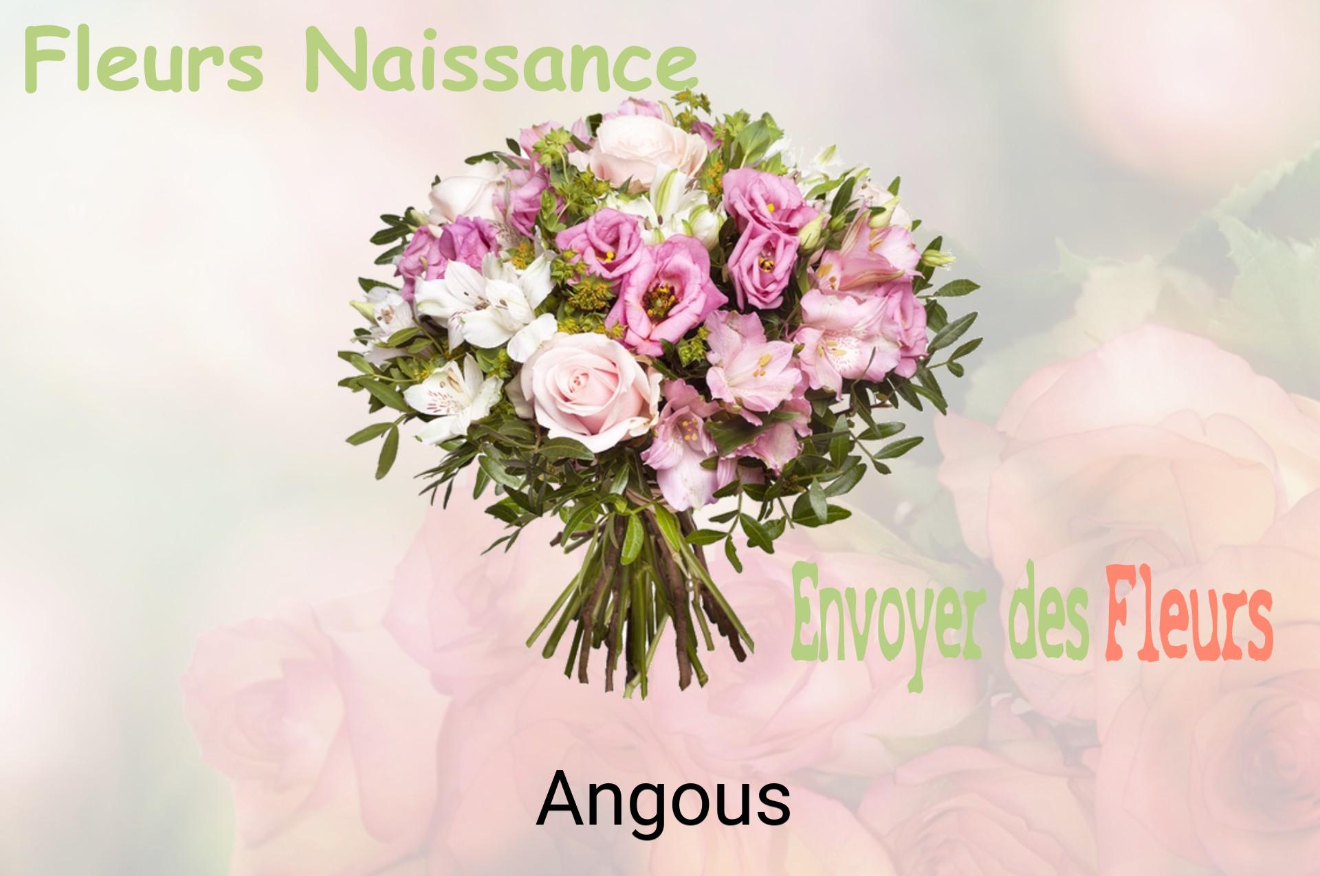 Bouquet de fleurs de naissance livré à Angous